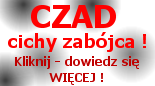 Logo CZAD